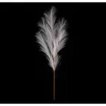 Umělá květina Pampas tráva 77 cm, krémová