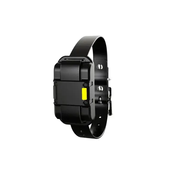 Obojek a přijímač Patpet 625