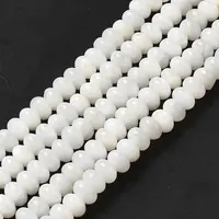 Natural Freshwater Shell Beads Strands