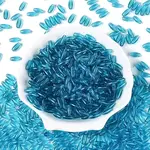 Transparent Colours Glass Seed Beads