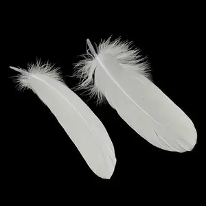 Goose Feather Costume Accessories