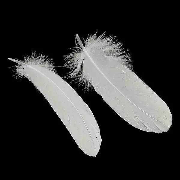 Goose Feather Costume Accessories