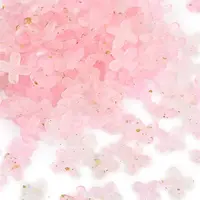 Metal Enlaced Acrylic Bead Caps