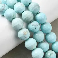 Natural Magnesite Beads Strands