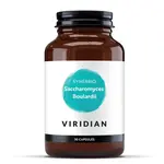 Viridian Synerbio Saccharomyces Boulardii 30 kapslí