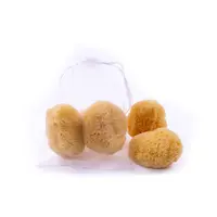 2PACK Menštruačná huba Premium Intim M (SCS150-2)