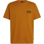 O'Neill O'RIGINALS CALI Pánské tričko, hnědá, velikost