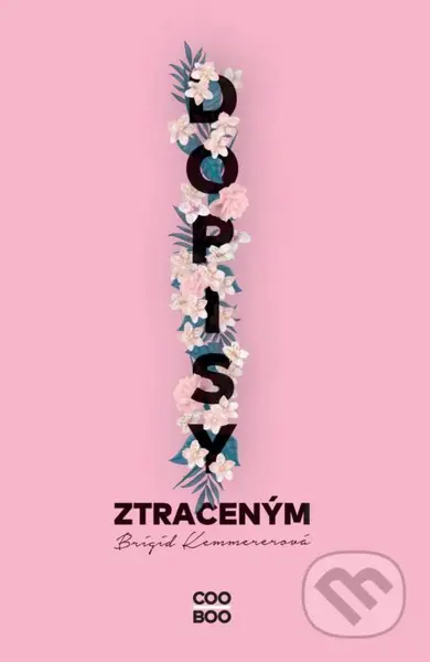 Dopisy ztraceným - Brigid Kemmerer - kniha z kategorie Beletrie pro děti