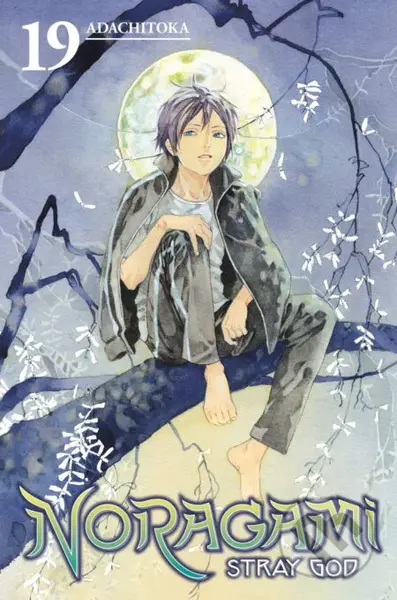 Noragami Volume 19 (Stray God) - Adachitoka - kniha z kategorie Komiksy