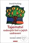 Tajemství rodových linií a jejich uzdravení (Techniky léčení) - kniha z kategorie Psychologie