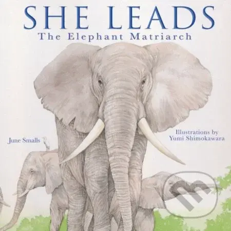 She Leads - June Smalls, Yumi Shimokawara (ilustrácie) - kniha z kategorie Pohádky
