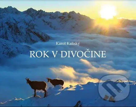 Rok v divočine - Karol Kaliský