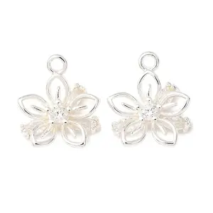 Brass Micro Pave Clear Cubic Zirconia Charms