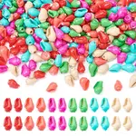 300Pcs 6 Colors Spray Painted Natural Spiral Shell Beads Strands