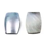 Natural Turbo Cornulus/Top Shells Cabochons