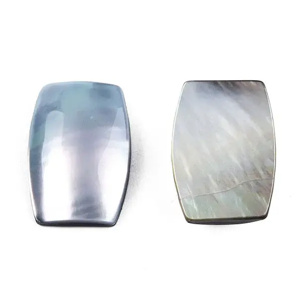 Natural Turbo Cornulus/Top Shells Cabochons