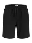 Jack & Jones Plus Nohavice 'JPSTJAIDEN'  čierna