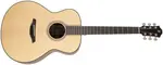 Furch Blue Plus G-SW CNR Active 2026