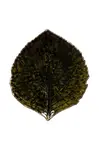 Costa Nova Sada tanierov Costa Nova Riviera Hydrangea 17 cm 6-pak