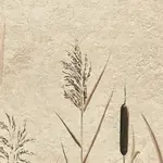 Dekor Beelitz Grass C 119,8/59,8