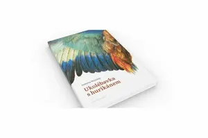 Ukolébavka s hurikánem - Justyna Wicenty