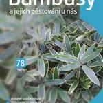 Bambusy a jejich pěstování u nás - Pavel Rezl - e-kniha