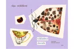 Výkladový slovník - Olga Stehlíková