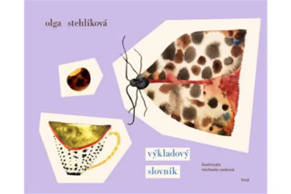Výkladový slovník - Olga Stehlíková