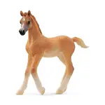 Schleich Arabské hříbě