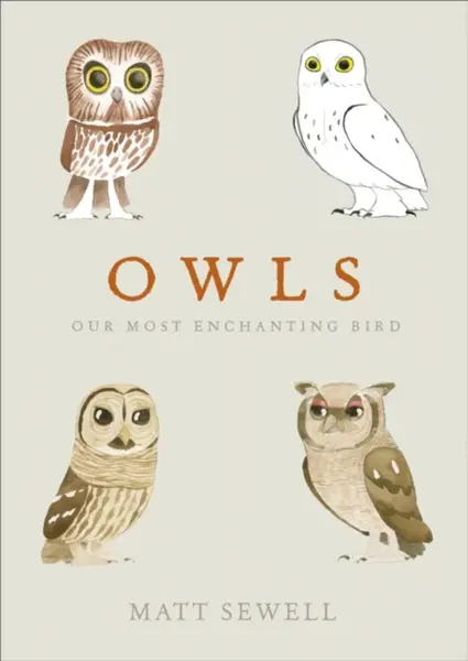 Owls - Matt Sewell