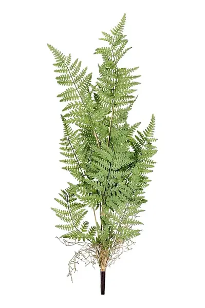 Umělá rostlina Bizzotto Ailen Green