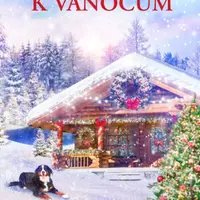 Láska k Vánocům - Karen Schaler