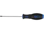 BGS Technic BGS 8629-4 Šestihranný šroubovák (inbus) 3 x 100 mm, Black tip