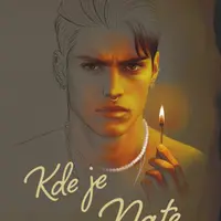 Kde je Nate - Tess M. Puffrová