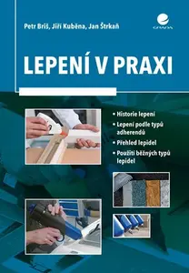 E-kniha: Lepení v praxi od Briš Petr