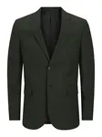 JACK & JONES Sako 'JPRSOLARIS'  tmavozelená