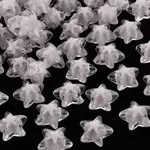 Transparent Acrylic Beads