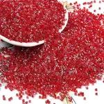 Electroplate Glass Seed Beads