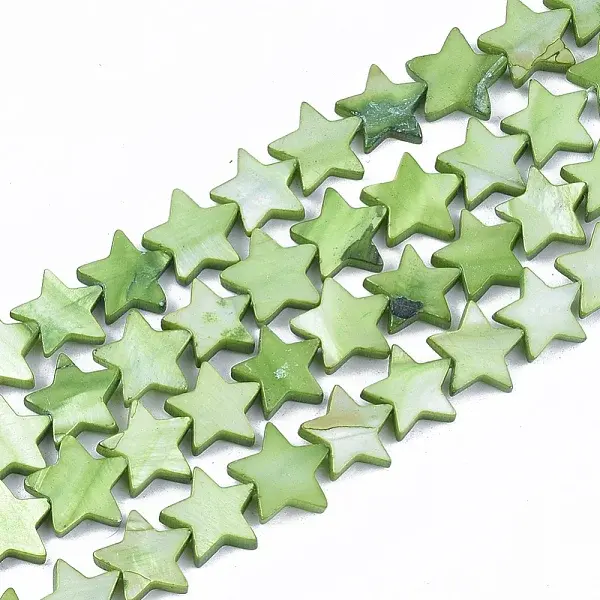 Freshwater Shell Beads Strands
