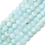 Dyed Natural Freshwater Shell Beads Strands