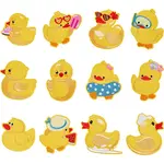 12Pcs Computerized Embroidery Polyester Iron on/Sew on Patches