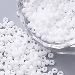 11/0 FGB Grade A Baking Paint Glass Seed Beads