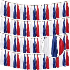 Tissue Paper Tassels Garland