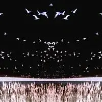 Brother Adam – Descent