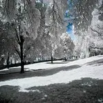 Radomír Holeček – Sněží