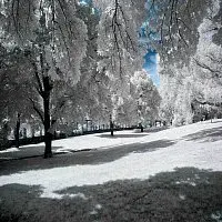 Radomír Holeček – Sněží