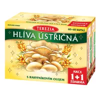 Terezia Company Hlíva ústřičná s rakytníkovým olejem 60 + 60 kapslí - Limitovaná edice