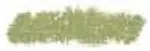 Sennelier olejový pastel Large 36ml – 046 Olive Green