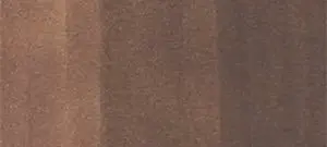 Copic Ink – E59 Walnut