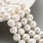 Natural Cultured Freshwater Pearl Beads Strands